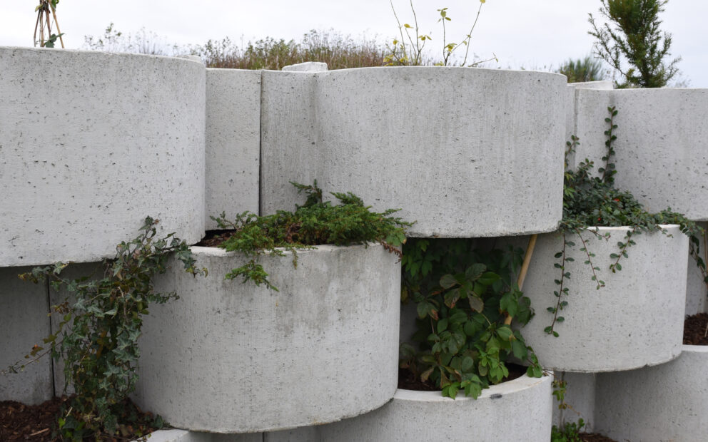 Flettemur NIBIO Særheim beplantet 5