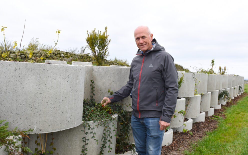 Flettemur NIBIO Særheim beplantet med Arne Sæbø