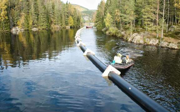 Caponelodd Mensvann 17