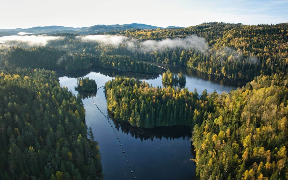 Caponelodd Mensvann 16