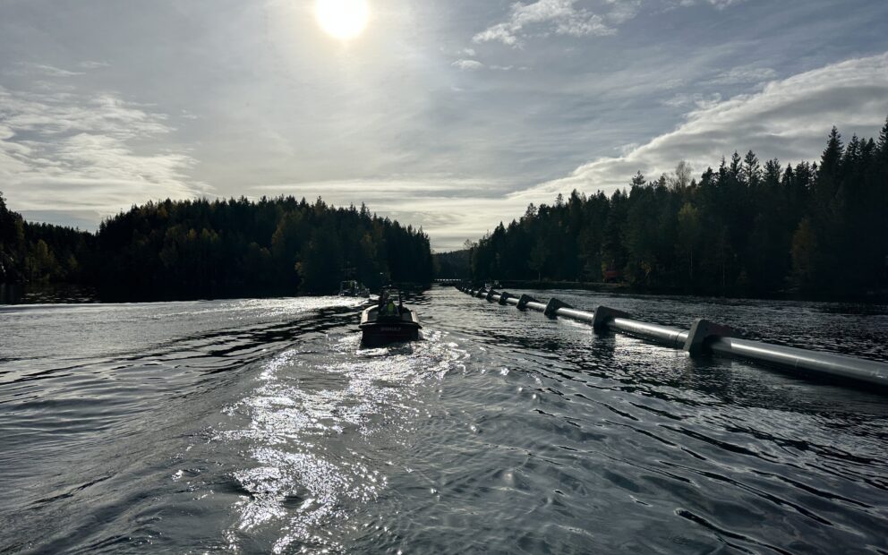 Caponelodd Mensvann 20