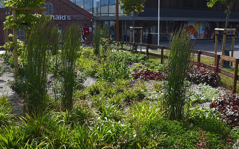 Ruten og overvann 13