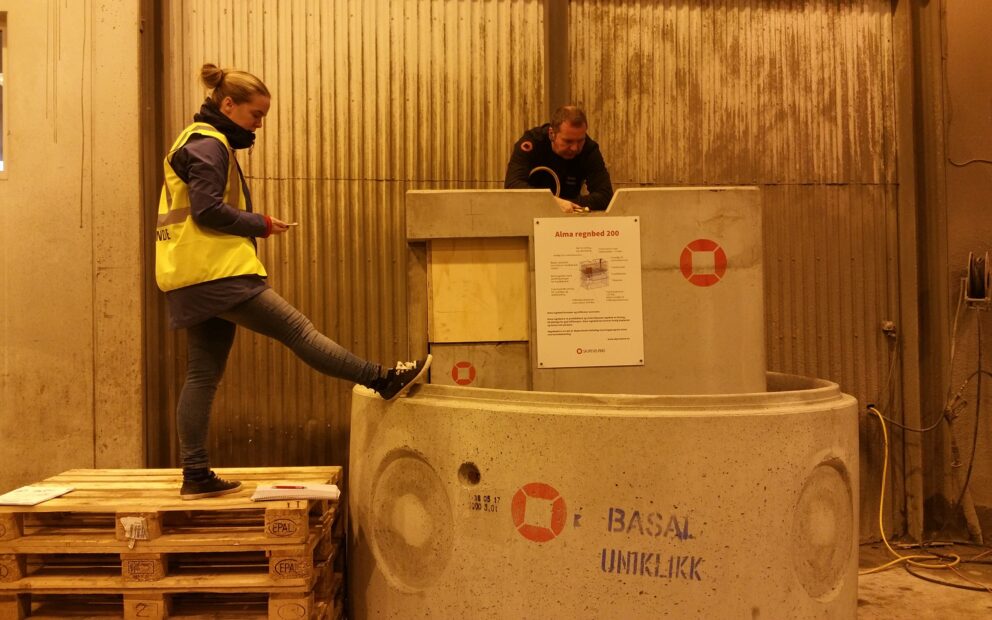 Alma Regnbed Mette bacheloroppgave 1