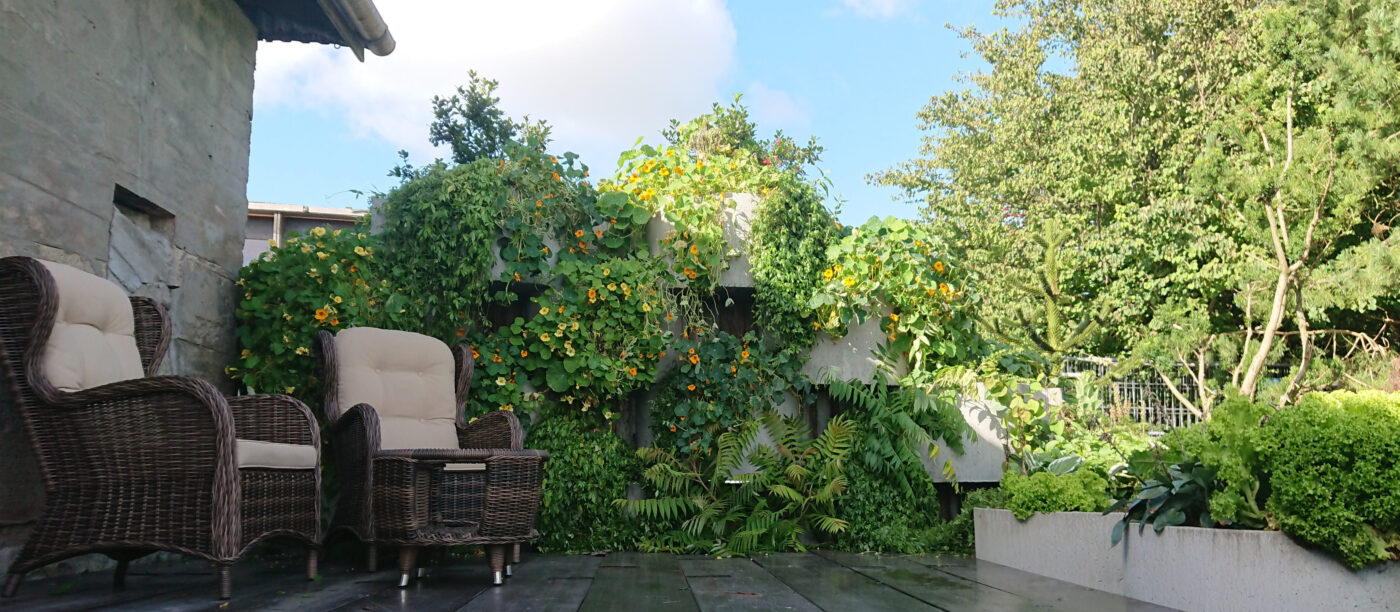 Flettemur hos Urban natur