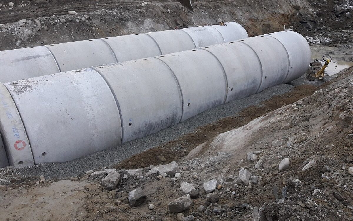 Søreng Fordrøyningsmag