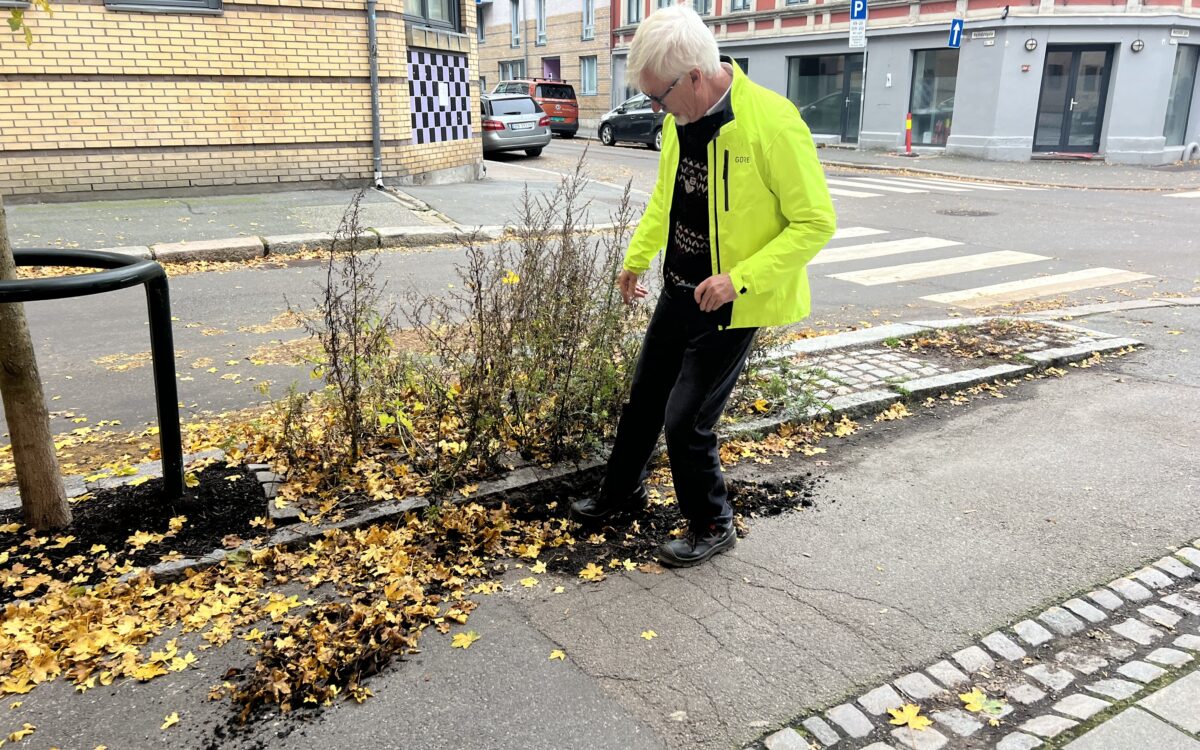 Bent Braskerud etterlyser regnbed i Oslo 6