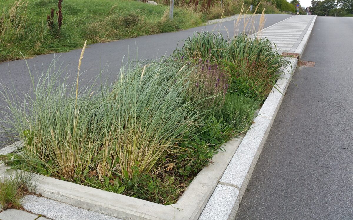 Eidsvoll Gata selvvanning med Alma