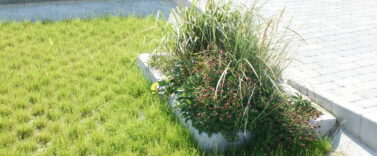 Testfeltet overflate infiltrasjon