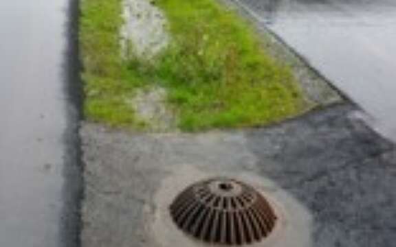 Årsvollveien infiltrasjonsgrøft