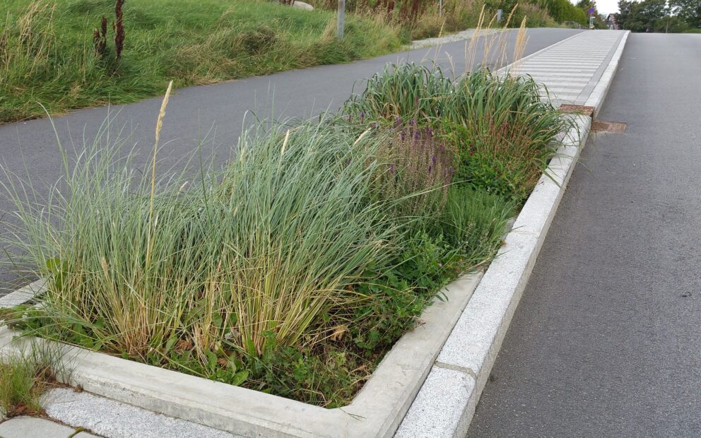 Eidsvoll Gata selvvanning med Alma