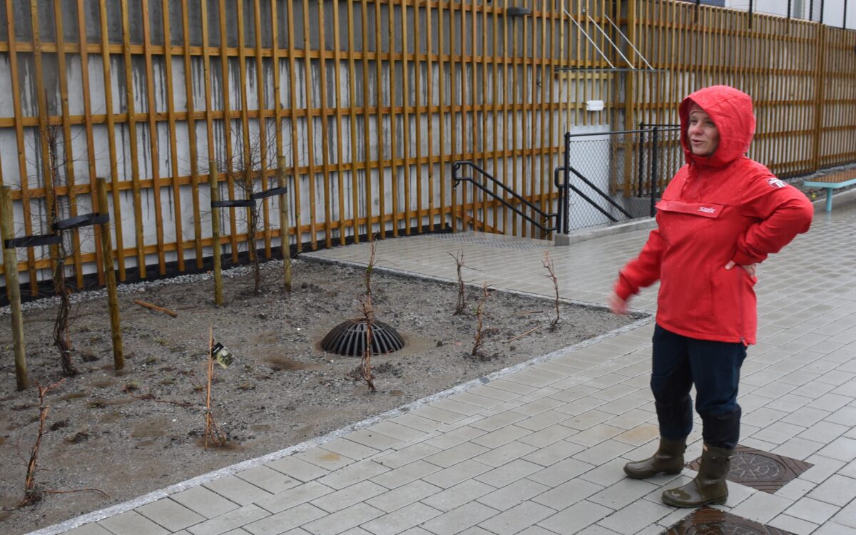 Blå grønn tre trinnsløsning Hana Sandnes 14