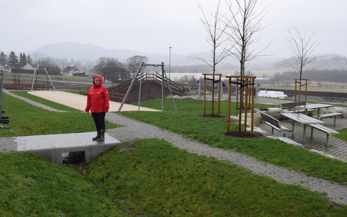 Blå grønn tre trinnsløsning Hana Sandnes 4