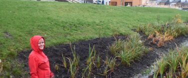 Blå grønn tre trinnsløsning Hana Sandnes 2