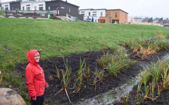 Blå grønn tre trinnsløsning Hana Sandnes 2