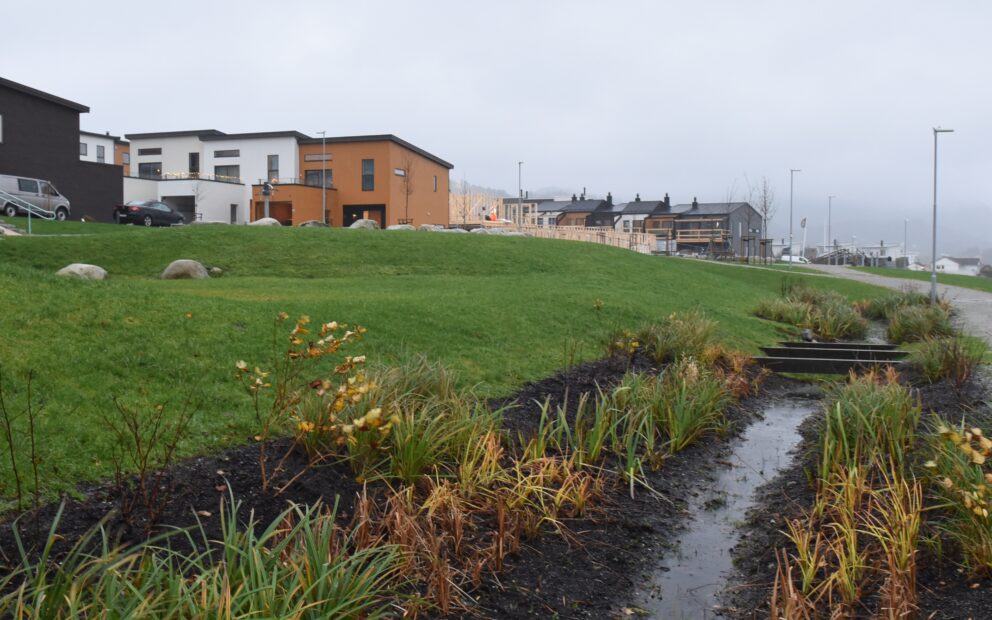 Blå grønn tre trinnsløsning Hana Sandnes 3