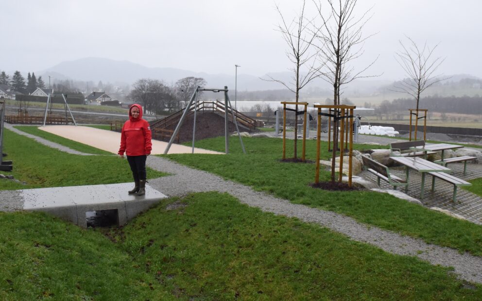 Blå grønn tre trinnsløsning Hana Sandnes 4