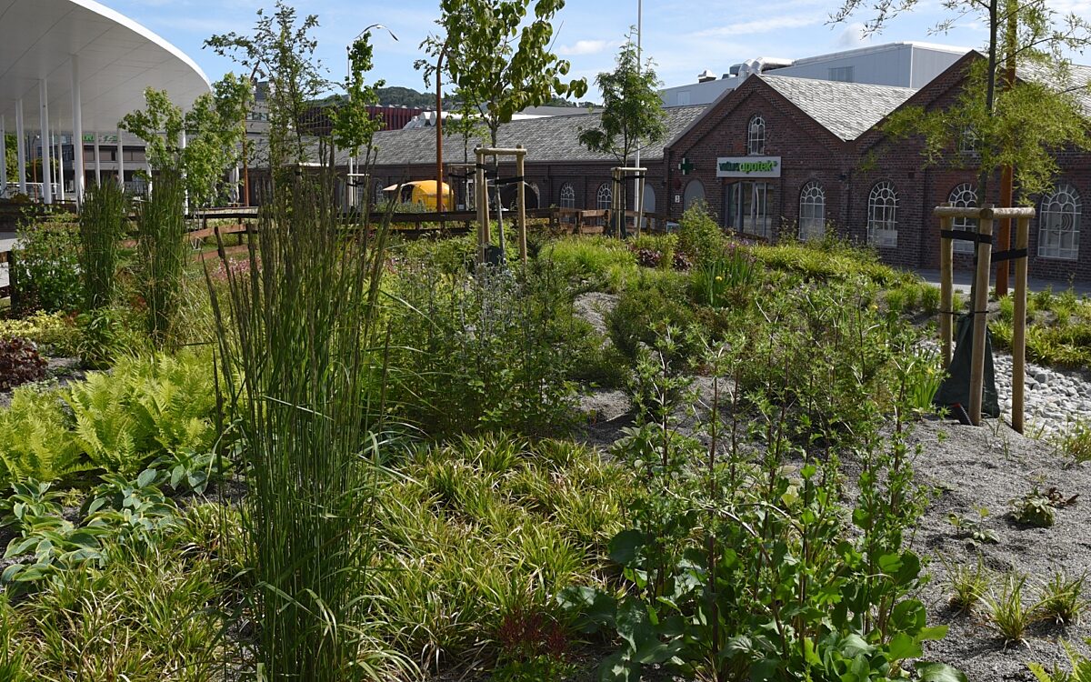 Ruten og overvann 11