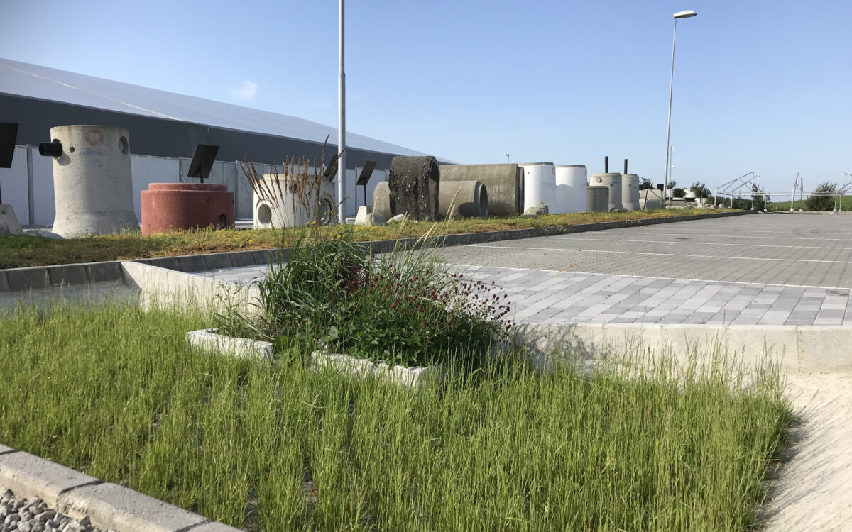 Testfeltet med alma regnbed i utvidet permeabelt dekke