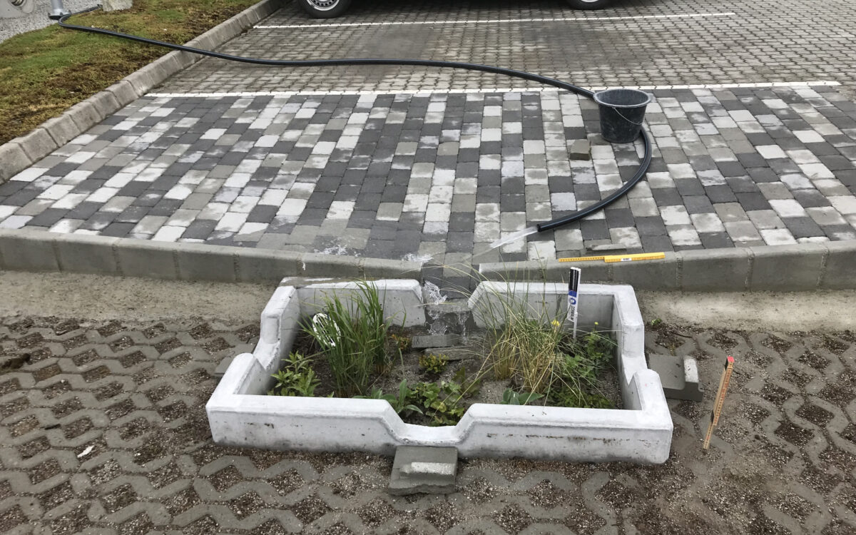 Masterstudent Alma regnbed 2