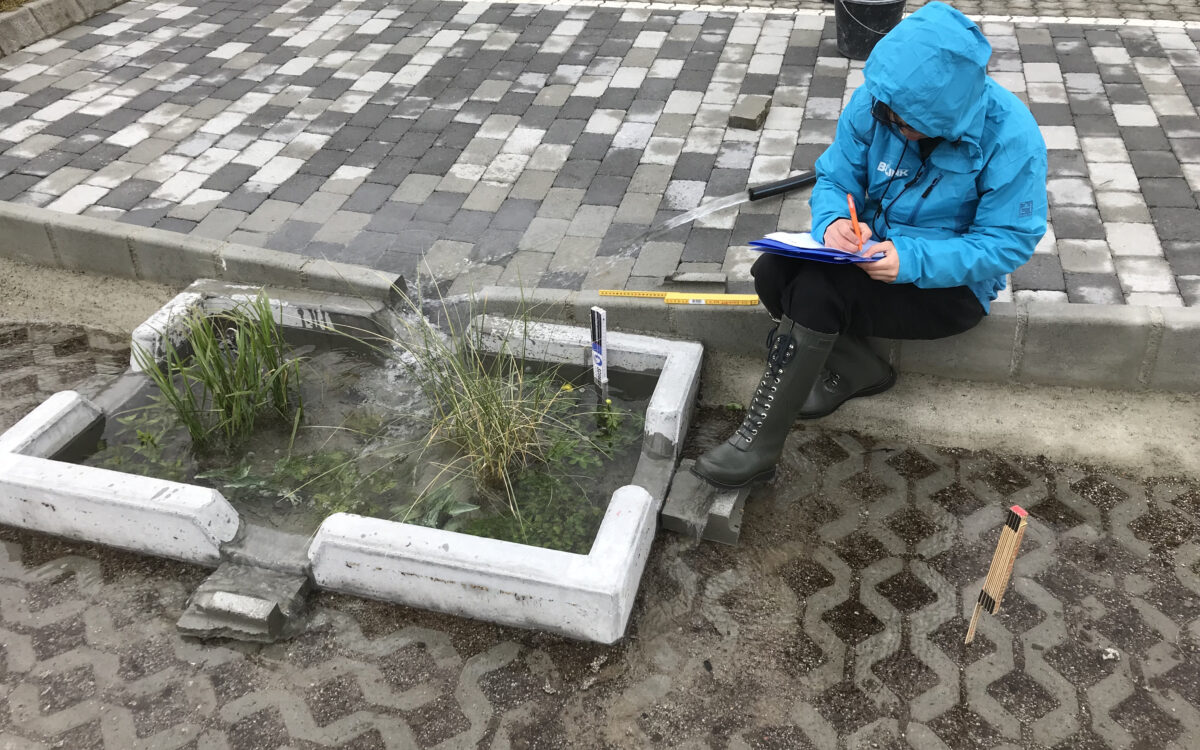 Masterstudent Alma regnbed 4