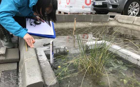 Masterstudent Alma regnbed 15