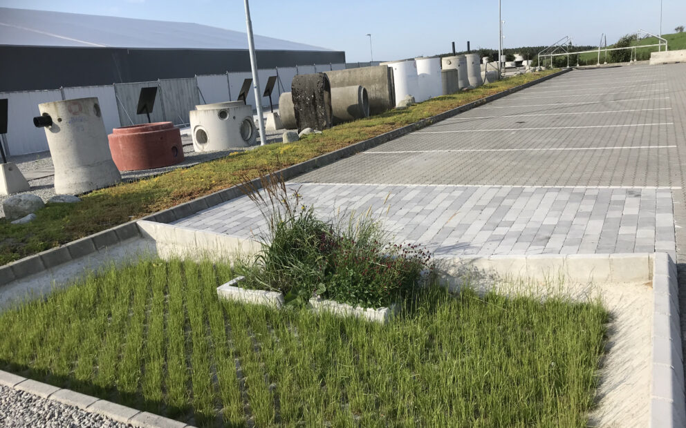 Testfeltet med alma regnbed i utvidet permeabelt dekke 3