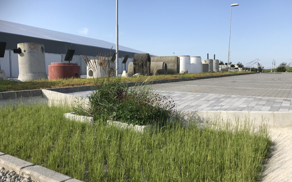 Testfeltet med alma regnbed i utvidet permeabelt dekke