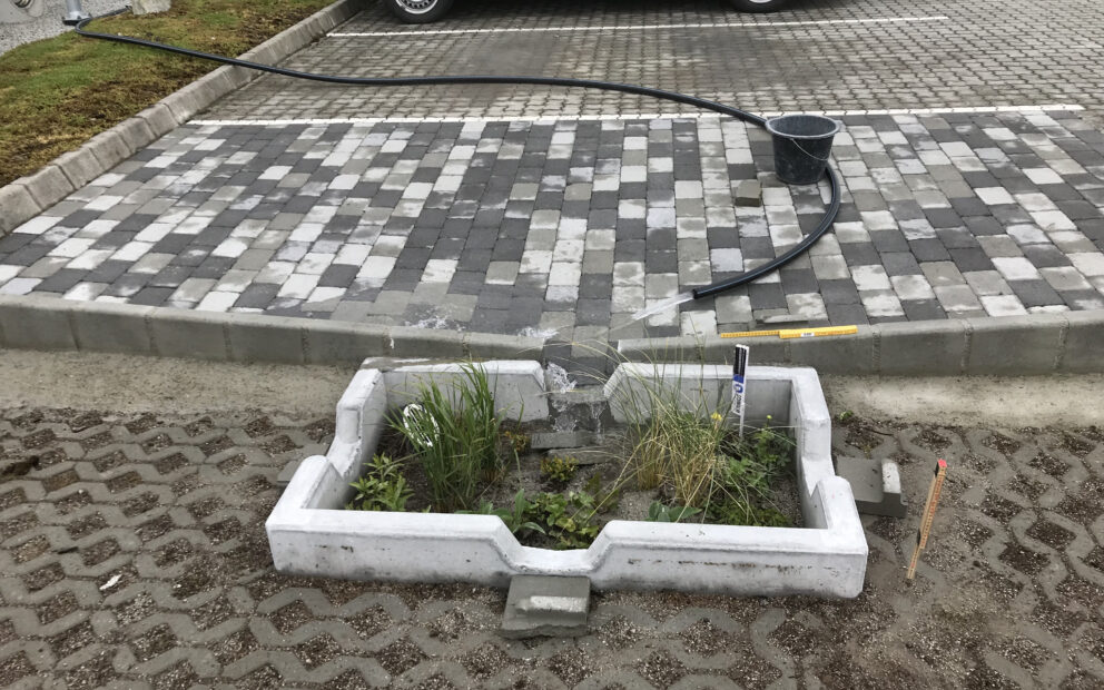 Masterstudent Alma regnbed 2